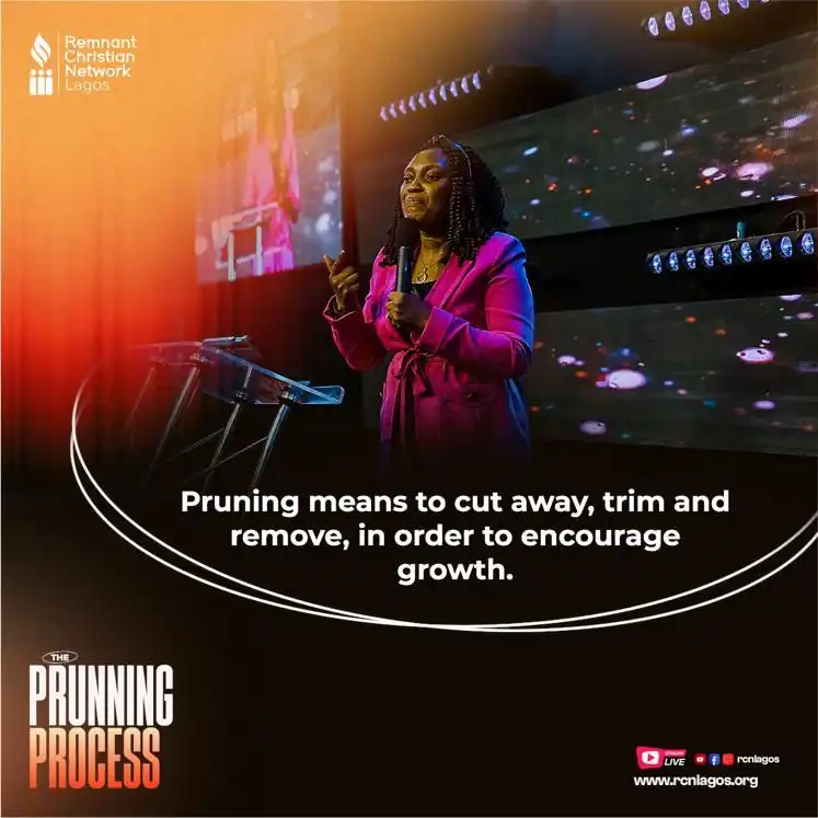 The Prunning Process quote 3